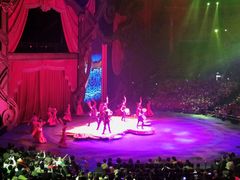 -珠海横琴长隆《卡卡虎奇遇记》