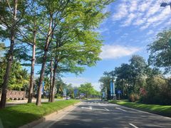 -海南清水湾莱佛士酒店