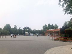 -大兴滨河森林公园