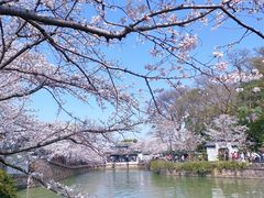 -太湖饭店·寄畅轩中餐厅
