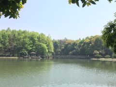 -象山森林公园