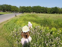 -汉长安城未央宫国家考古遗址公园