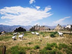 -敕勒川草原文化旅游区