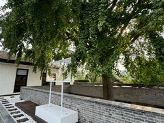 -自如ZSPACE四合院艺术餐厅