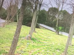 -胜华驾校·小猫学车(银都店)