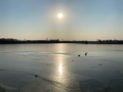 -大兴滨河森林公园