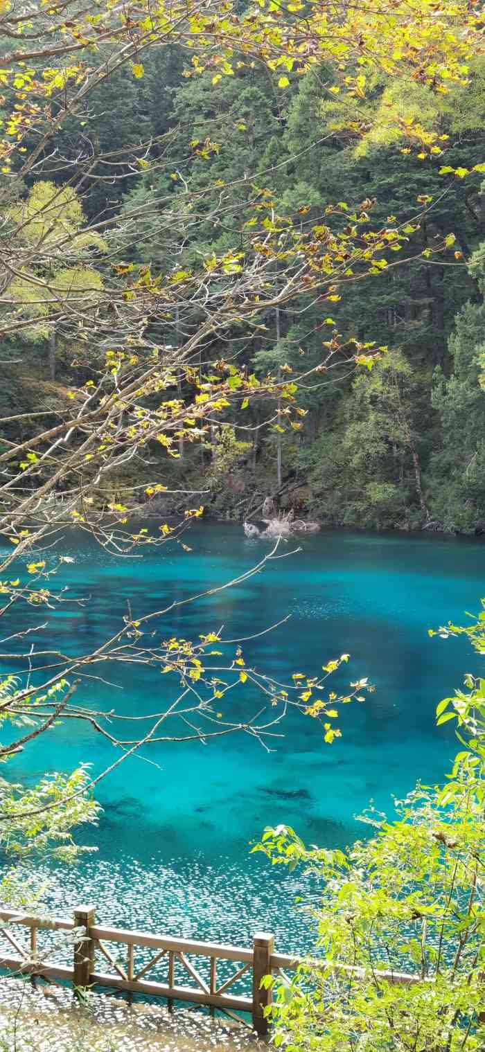 九寨沟爱情海景区"在没来九寨沟之前,就听说:九寨归来不看水.