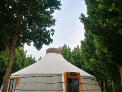 -九十九顶毡房(阜石路店)