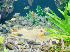 -成都浩海立方海洋公园