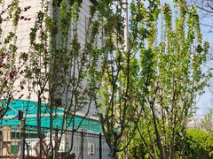 -石景山区图书馆(八角南路)