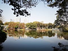 -荔湾湖公园