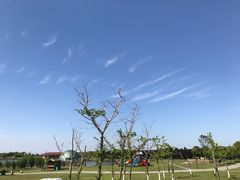 -上海都市菜园