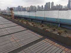 -北外滩滨江绿地