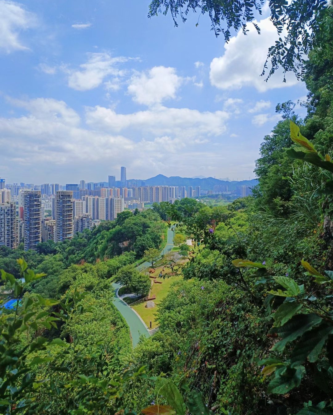 深圳市龙华区旅游景点图片