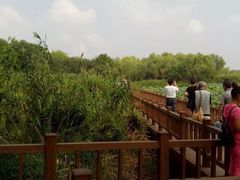 -东关历史文化旅游区-东门遗址