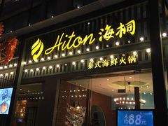 -海桐