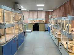 -翊宠yipet猫狗购宠庄园犬舍•猫舍