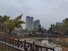 -迎泽公园