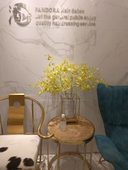 -潘多拉Hairsalon