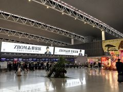 -合肥新桥国际机场-航站楼