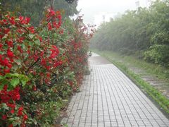 -铁路文化公园
