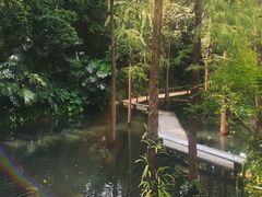 -广州兰圃