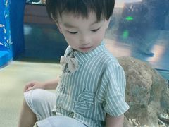 -福州罗源湾海洋世界旅游区