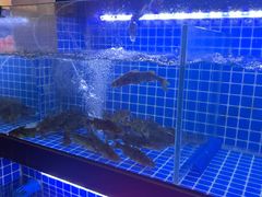 -罗二娘·鲜切牛自助火锅(罗湖东门步行街店)