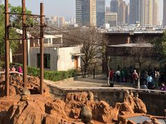 -昆明动物园