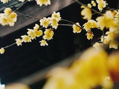 -钱王祠
