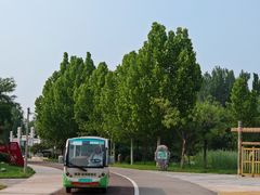 -武清南湖绿博园