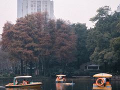 -晓港公园
