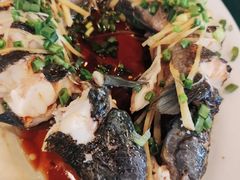 -罗浮山葛仙居菜馆