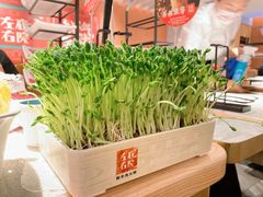 -左庭右院鲜牛肉火锅(环球港店)