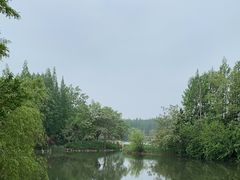 -东平国家森林公园