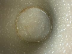 -肖肖酸萝卜鱼火锅(总店)