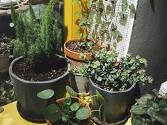 -About Bistro關於·泰式家庭料理