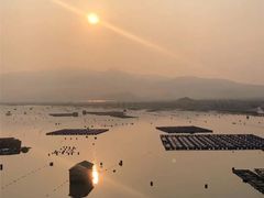 -北岐滩涂