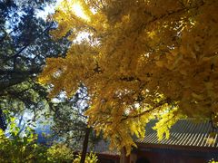 -红螺寺