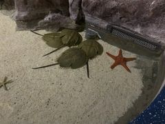 -福州罗源湾海洋世界旅游区