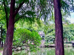 -荔湾湖公园