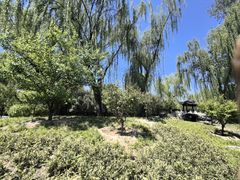 -皇家御河游(紫御湾码头)