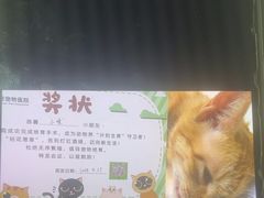 -守诺宠物医院·眼科· 特色牙科·异宠专科(虹口店)