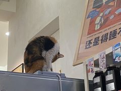 -玫瑰咖啡(中山六路店)