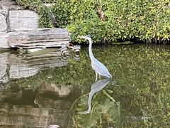 -昆明洲际酒店