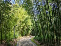 -苏州河梦清园环保主题公园