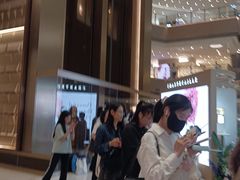 -港汇恒隆广场
