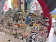 -熊猫邮局(少城店)