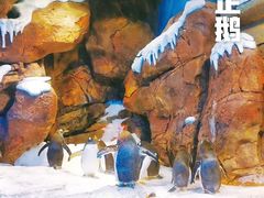 -波塞冬旅游度假区