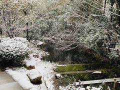 -天鹅湖体育公园